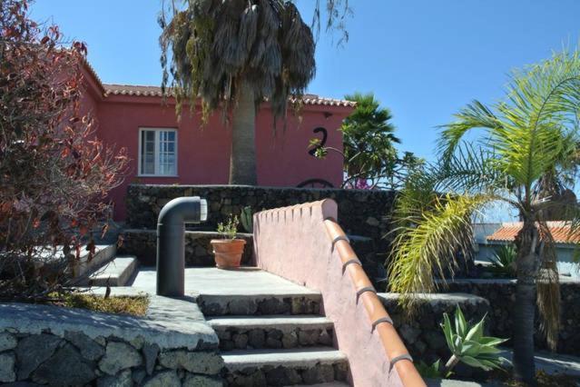 Bungalows & Apartamentos Morani Puerto De Naos エクステリア 写真